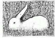 Es un conejo cuyas orejas formarían el pico de un pato boca arriba.